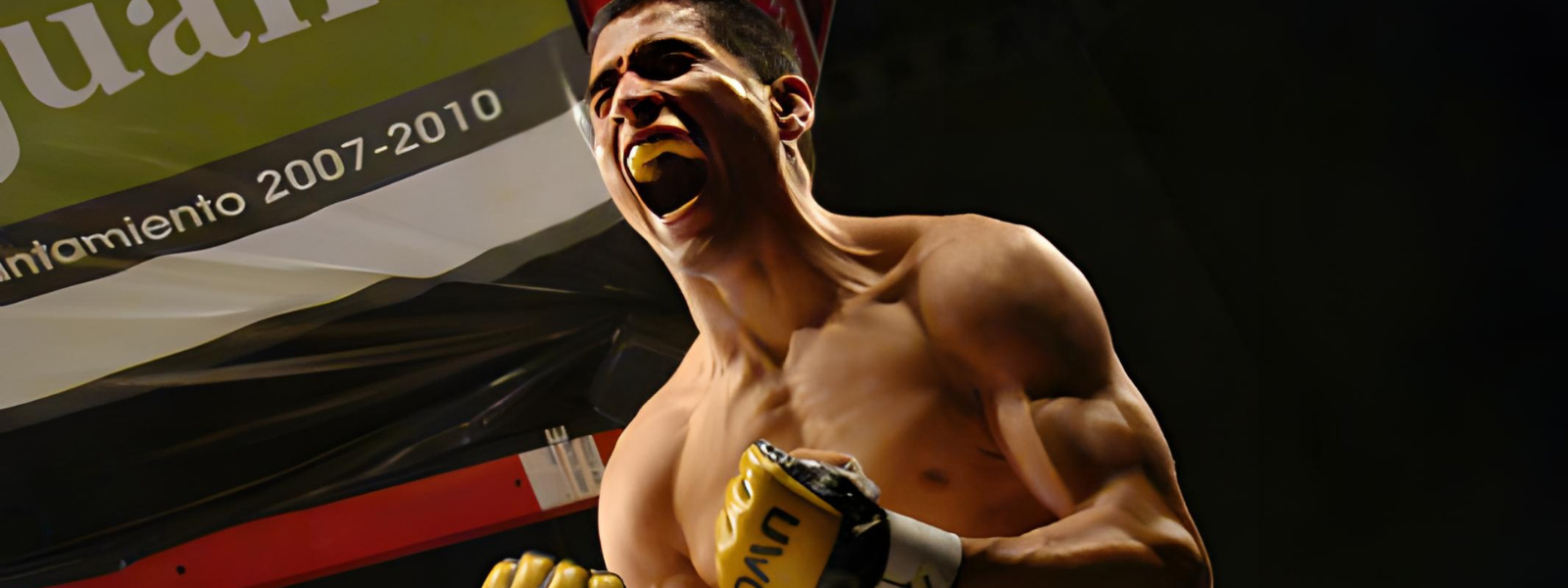 collection-banner-image