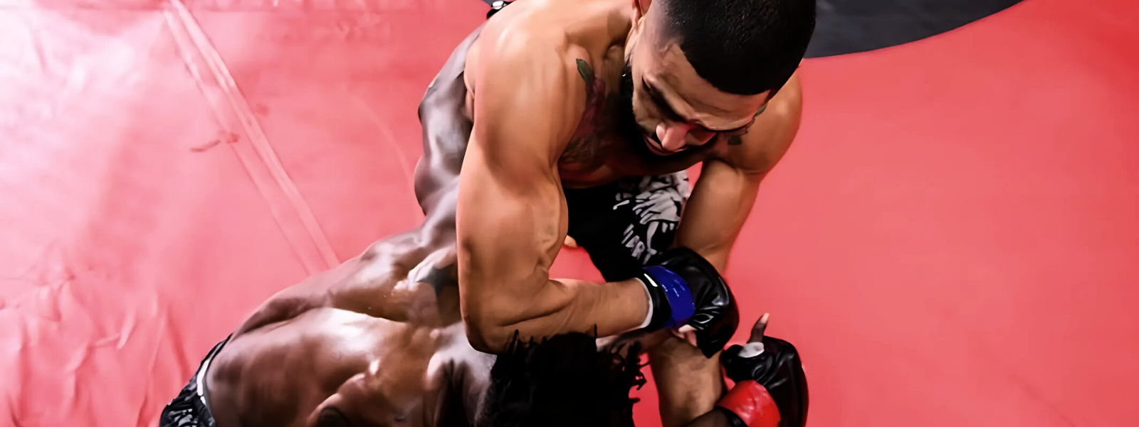collection-banner-image