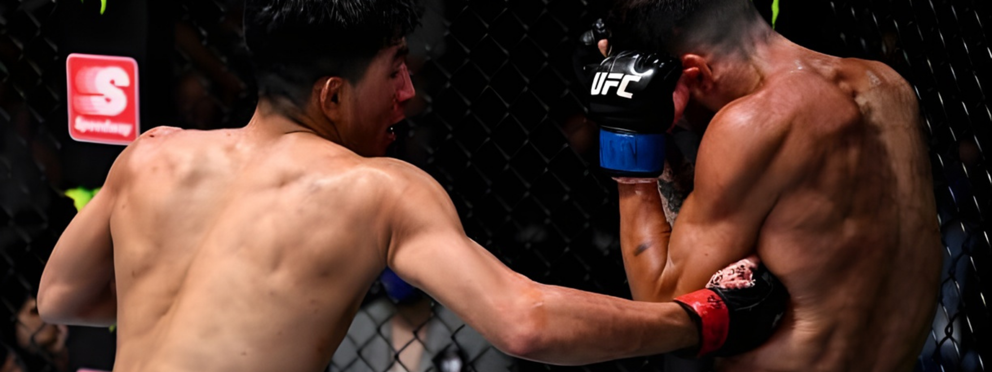 collection-banner-image