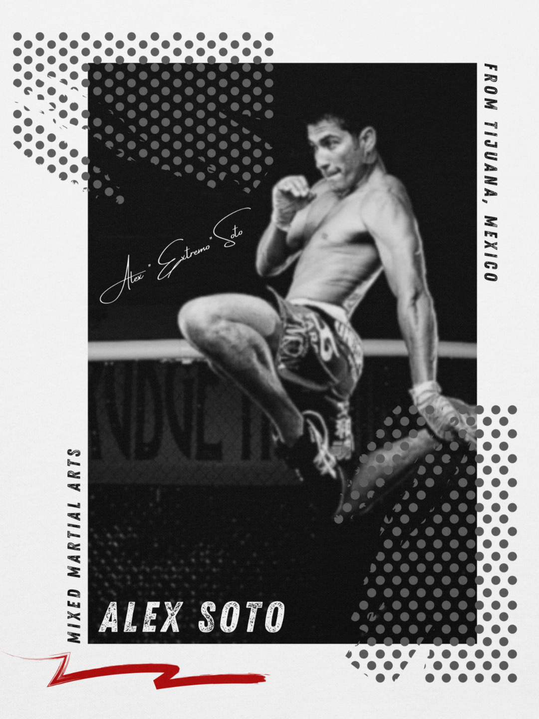 Alex Soto - Flying Hoodie