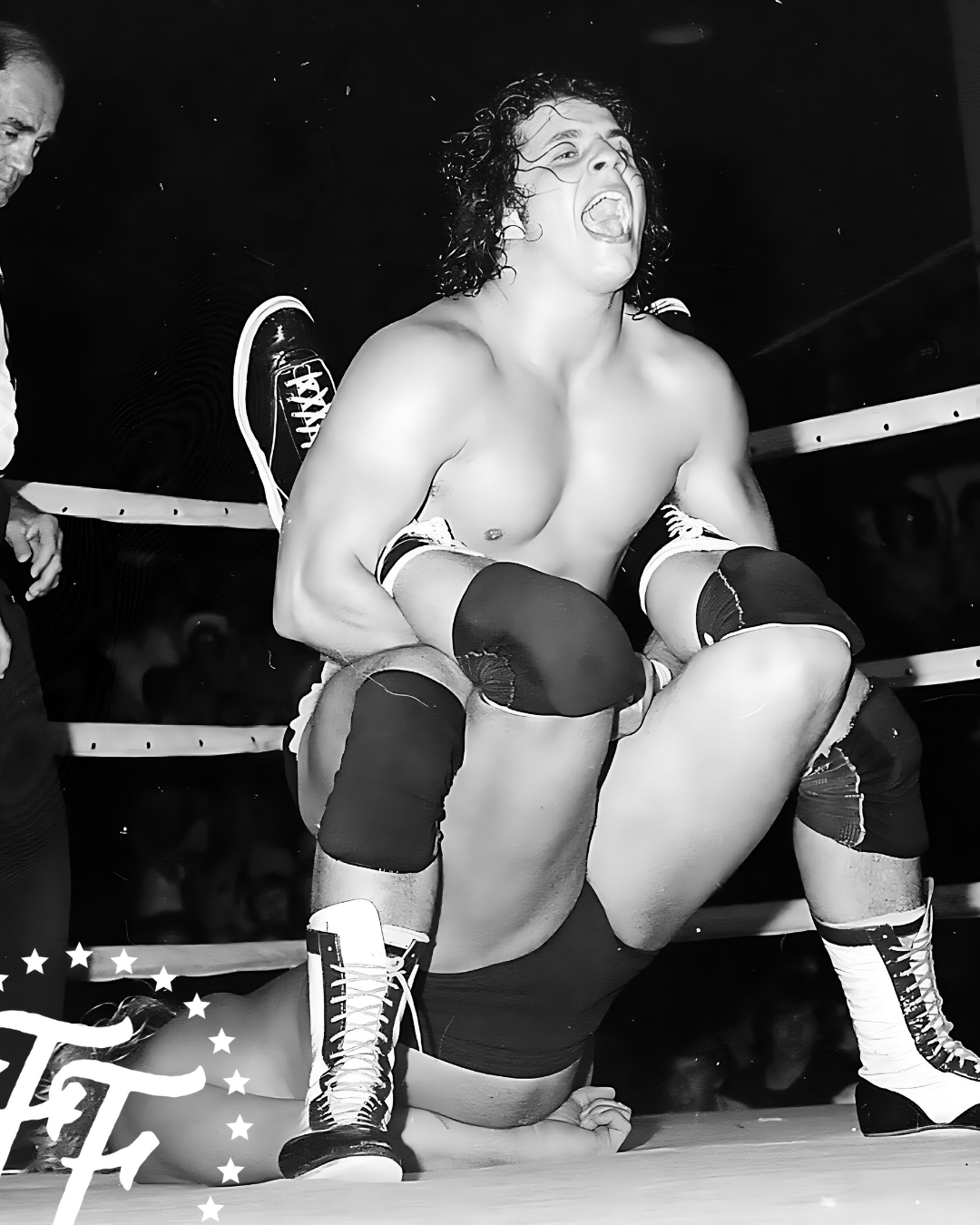 Hitman: My Real Life in the Cartoon World of Wrestling