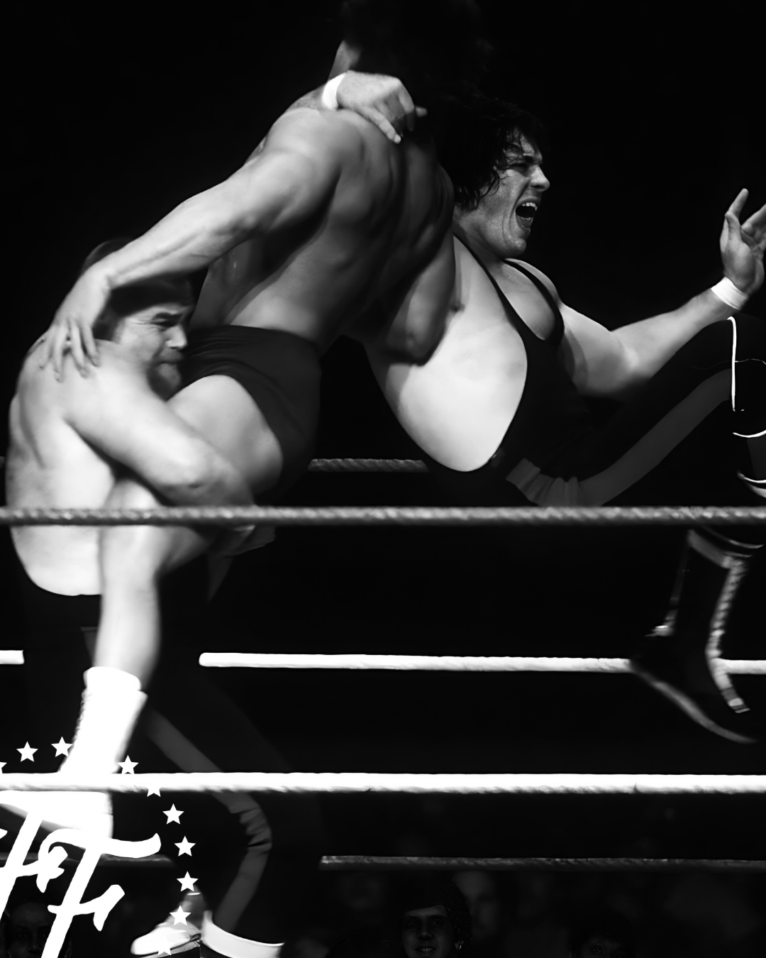 Hitman: My Real Life in the Cartoon World of Wrestling