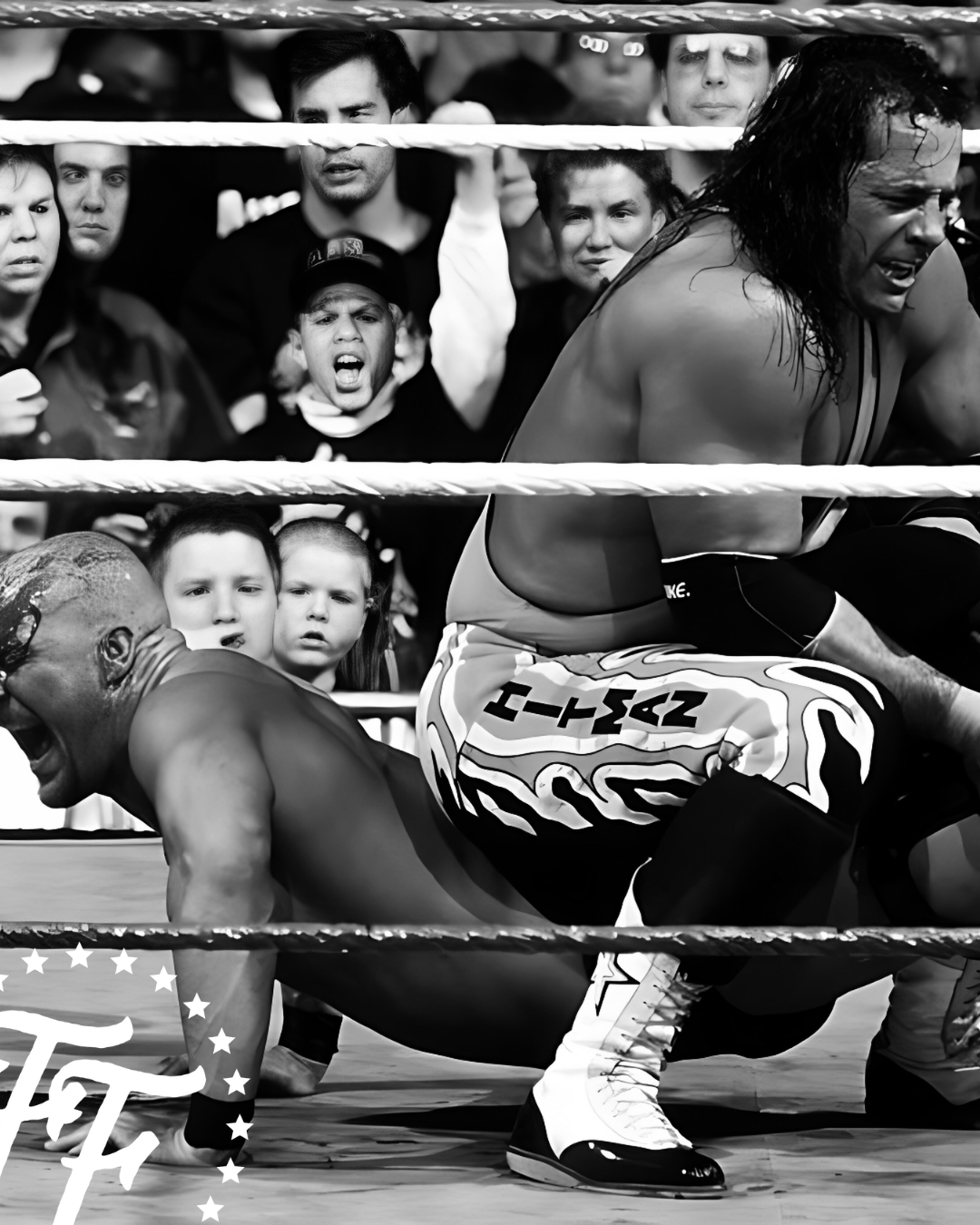 Hitman: My Real Life in the Cartoon World of Wrestling