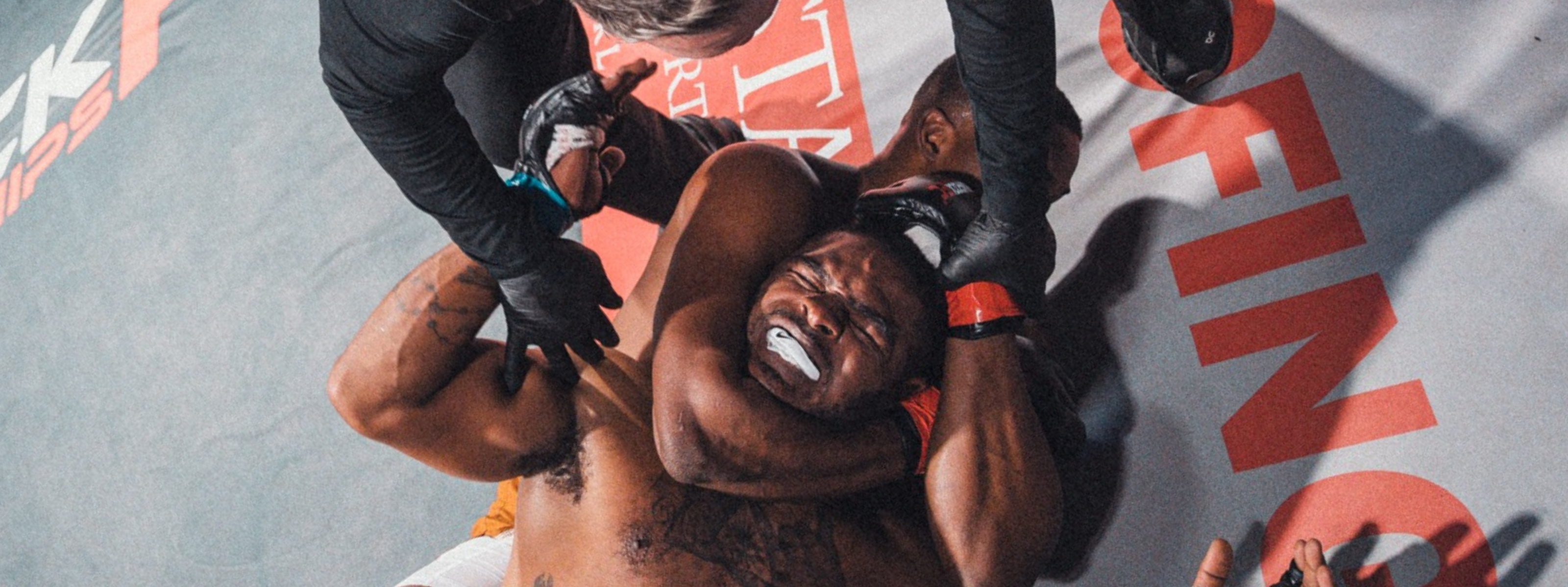 collection-banner-image