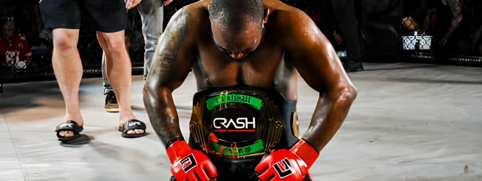 collection-banner-image