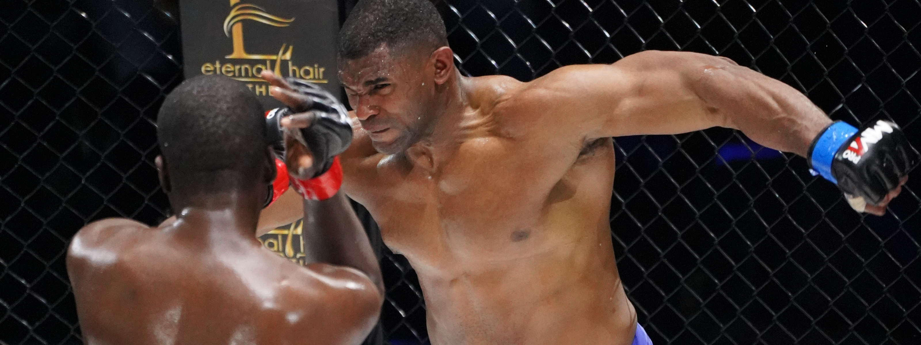 collection-banner-image