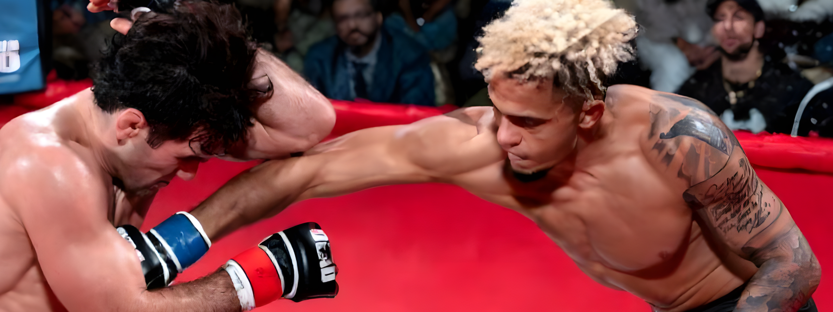 collection-banner-image