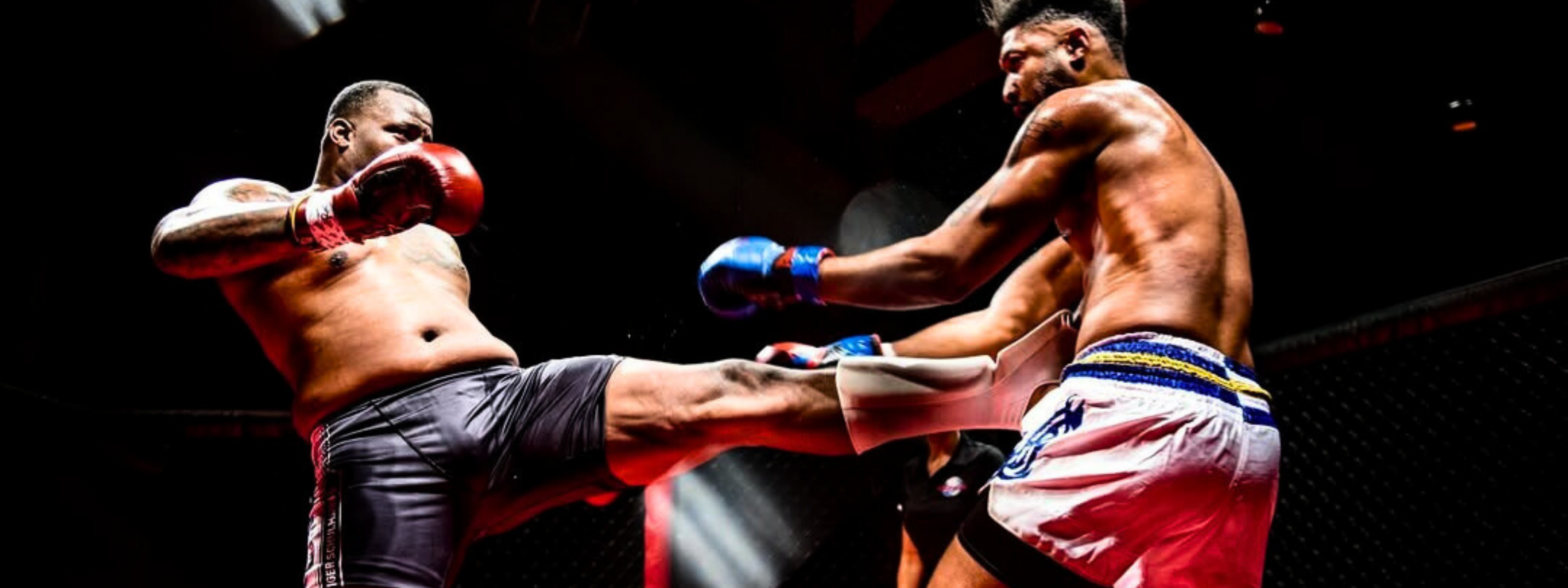 collection-banner-image