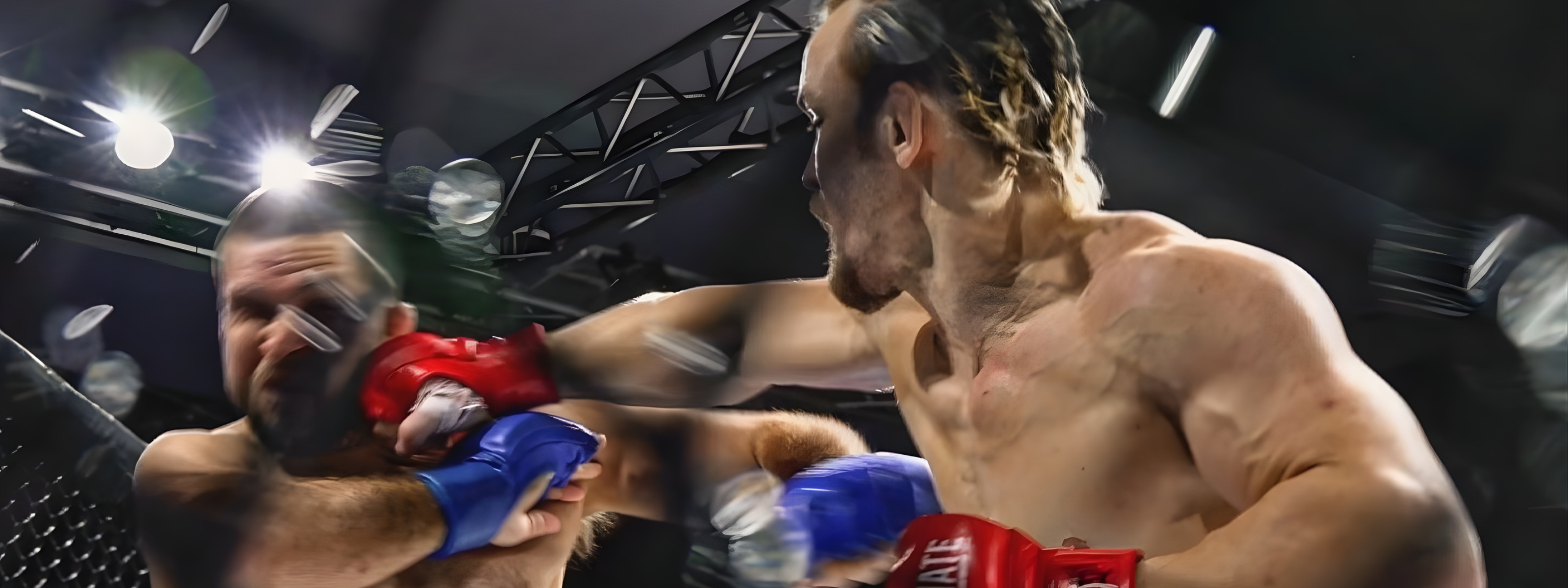 collection-banner-image