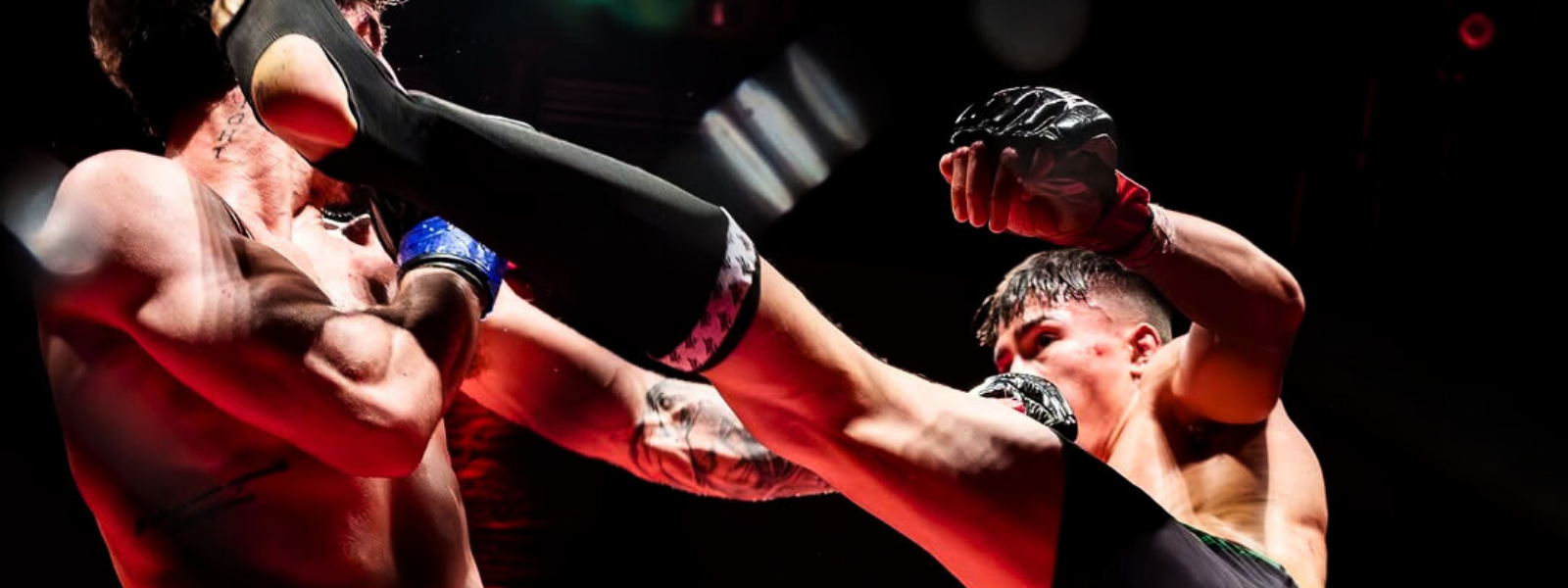 collection-banner-image