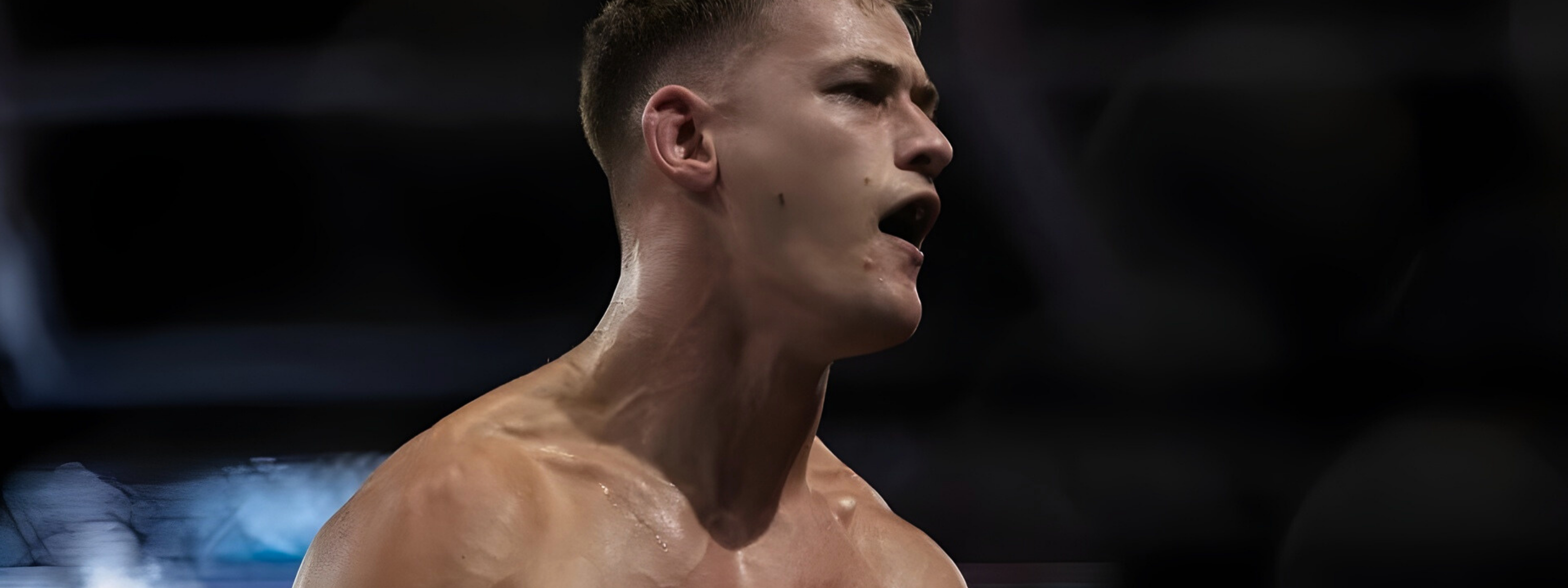 collection-banner-image