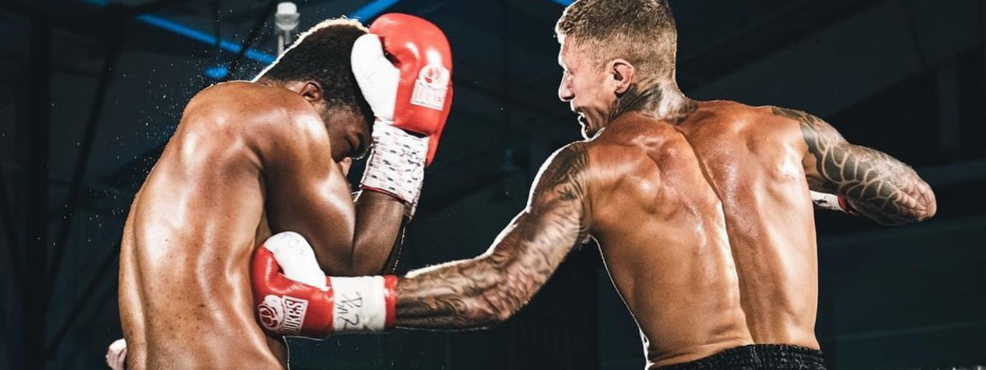 collection-banner-image